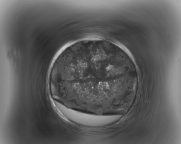 X0000086261488200704051251