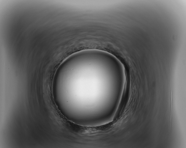 X0000086261489200704051251