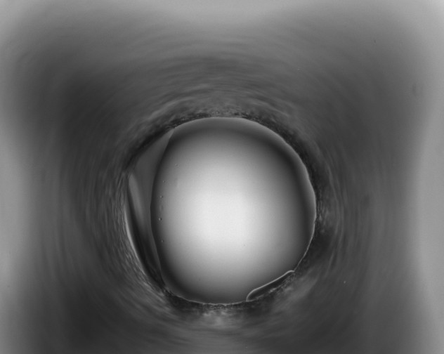 X0000086261490200704051251