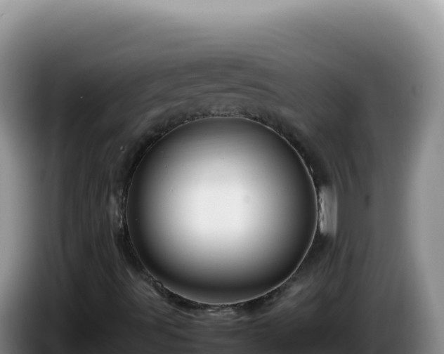 X0000086261491200704051251