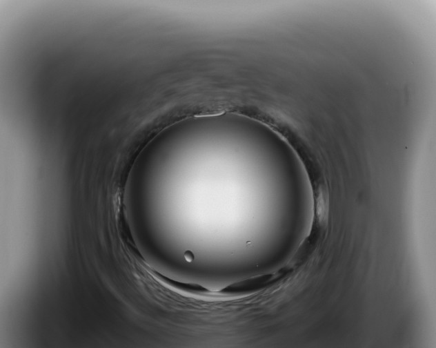 X0000086261492200704051251