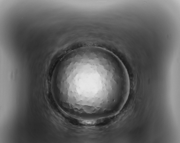 X0000086261493200704051251