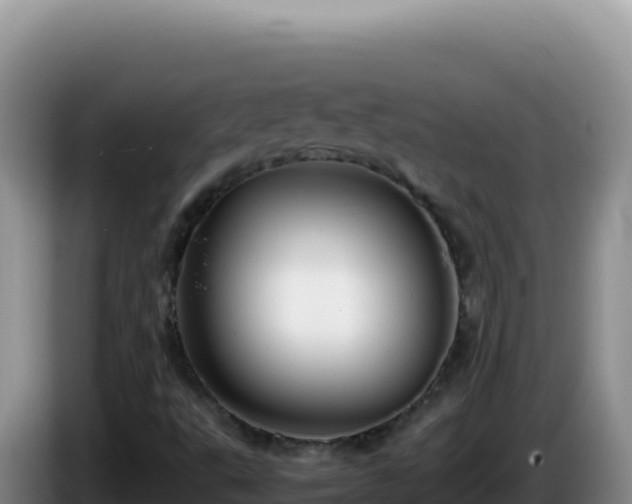 X0000086261495200704051251