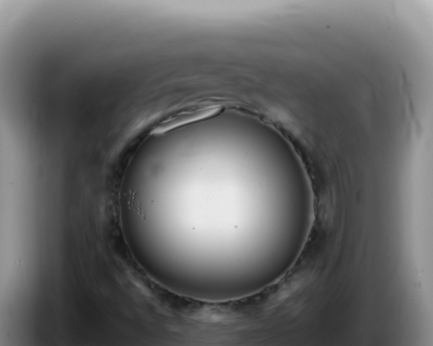 X0000086261496200704051251