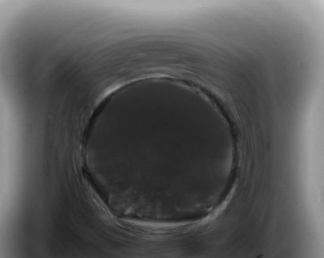 X0000086261497200704051251