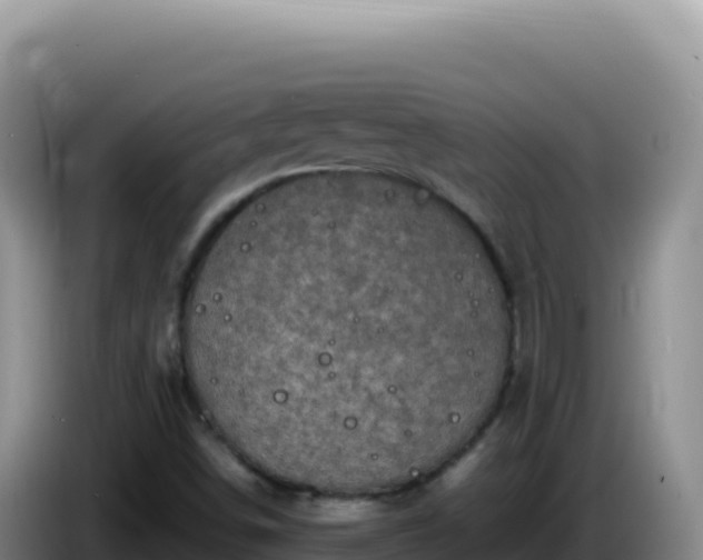 X0000086261498200704051251