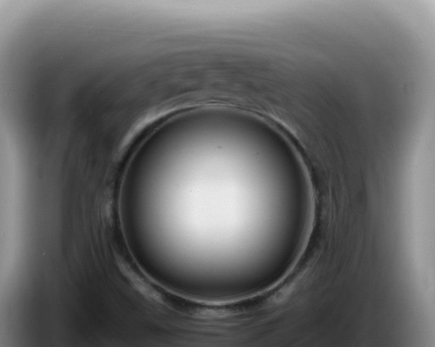 X0000086261499200704051251