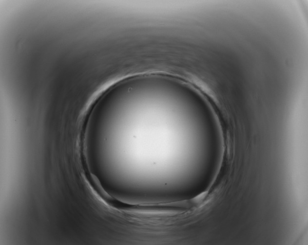 X0000086261500200704051251