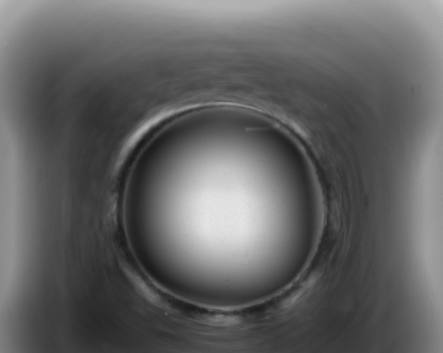 X0000086261503200704051251