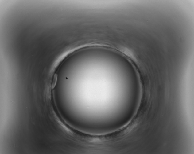 X0000086261504200704051251