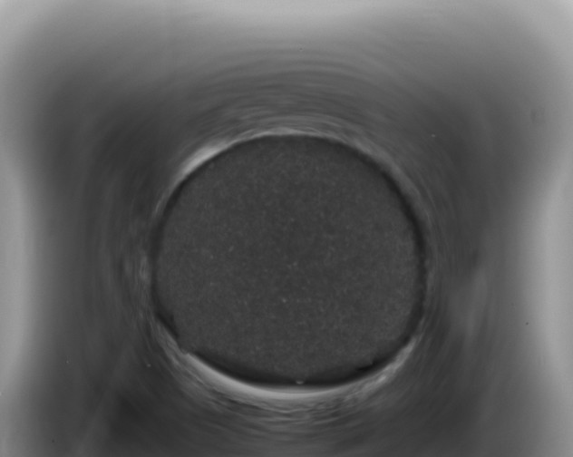 X0000086261505200704051251