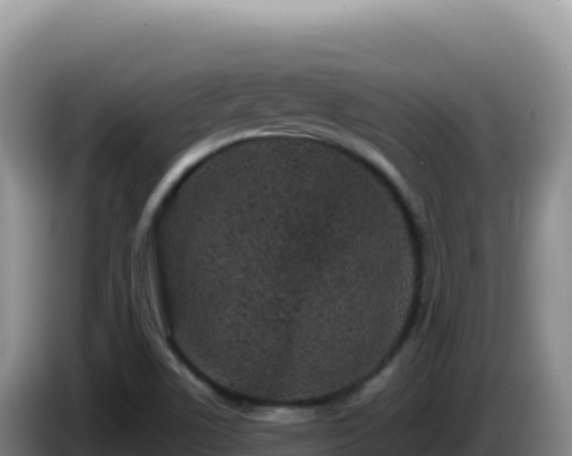 X0000086261506200704051251
