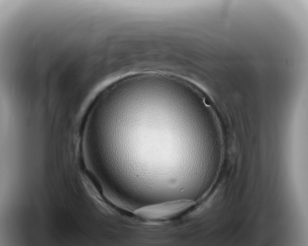 X0000086261507200704051251