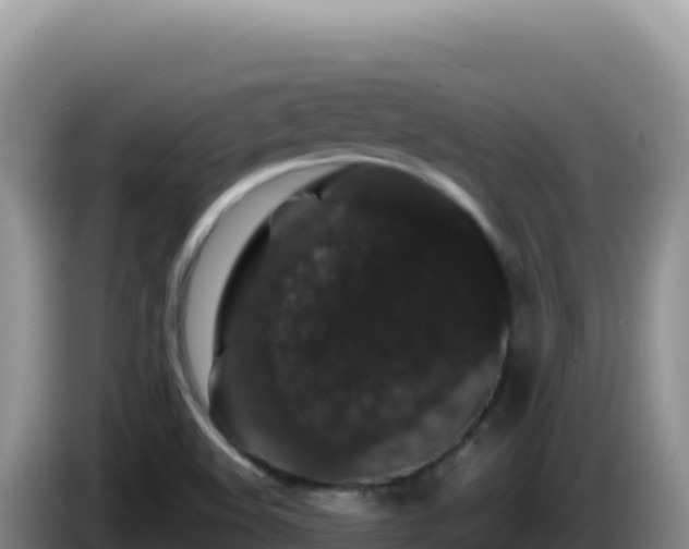 X0000086261508200704051251