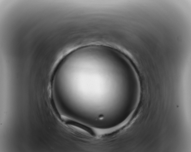 X0000086261509200704051251