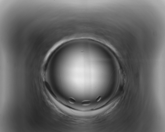 X0000086261510200704051251