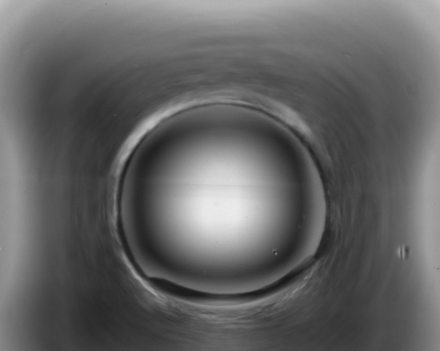 X0000086261512200704051251