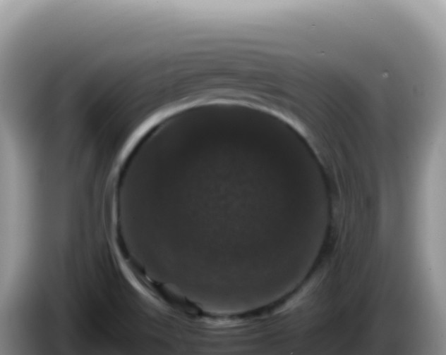 X0000086261515200704051251