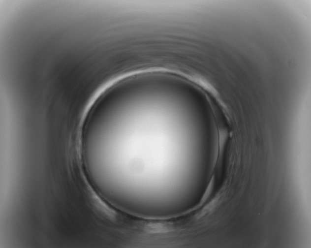 X0000086261516200704051251