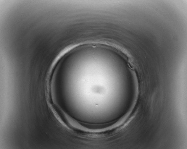 X0000086261517200704051251
