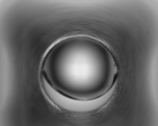 X0000086261518200704051251