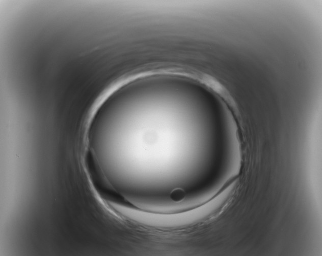 X0000086261520200704051251