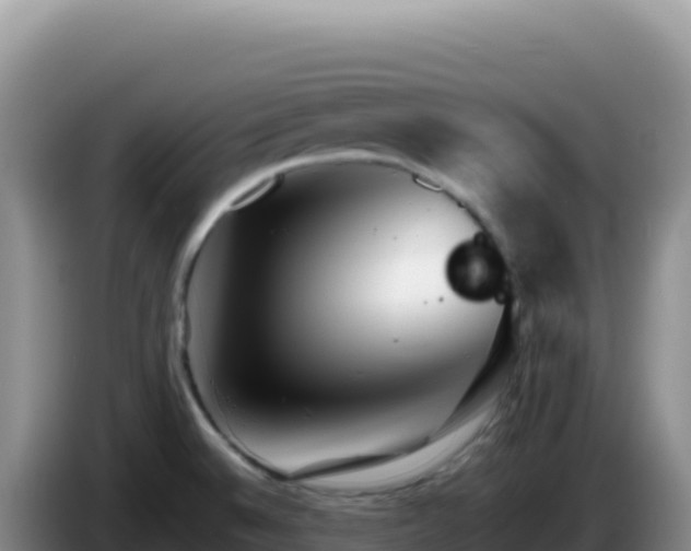 X0000086261524200704051251