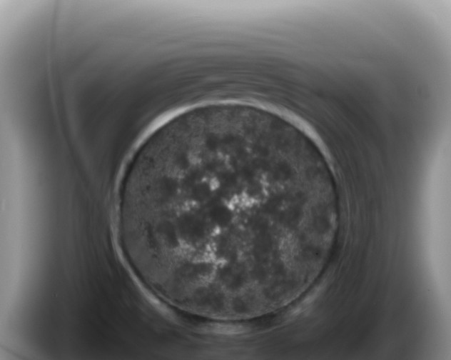 X0000086261525200704051251