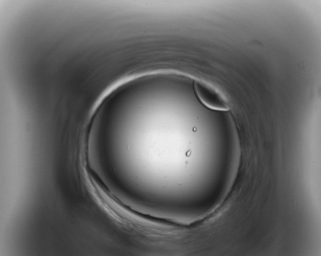 X0000086261526200704051251