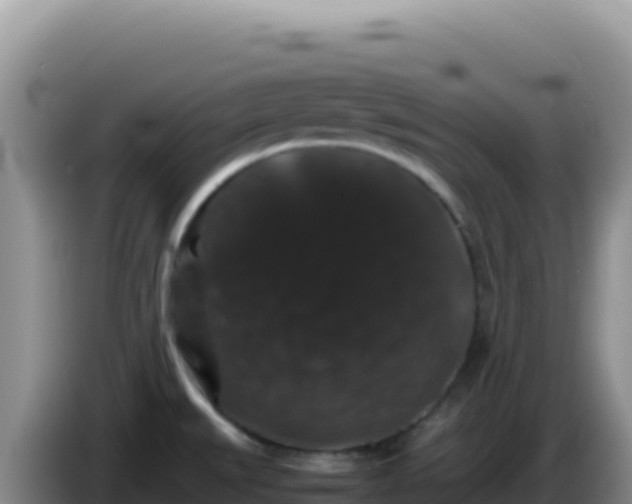 X0000086261527200704051251