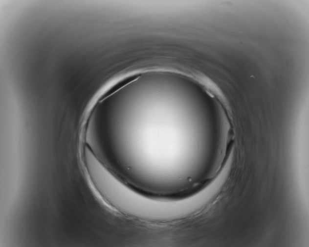X0000086261528200704051251