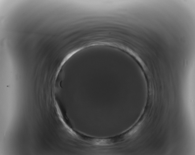 X0000086261529200704051251