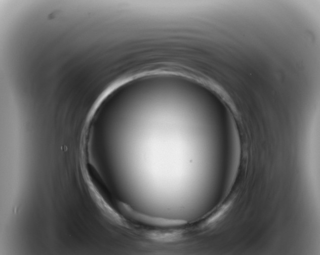 X0000086261530200704051251