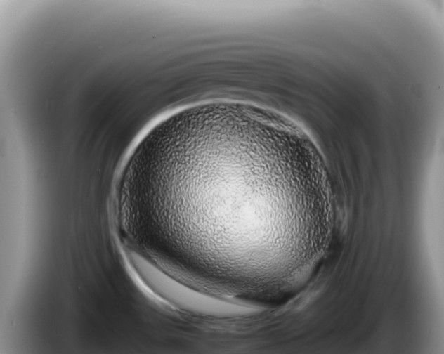 X0000086261531200704051251