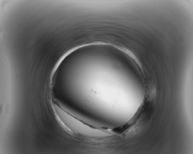 X0000086261532200704051251