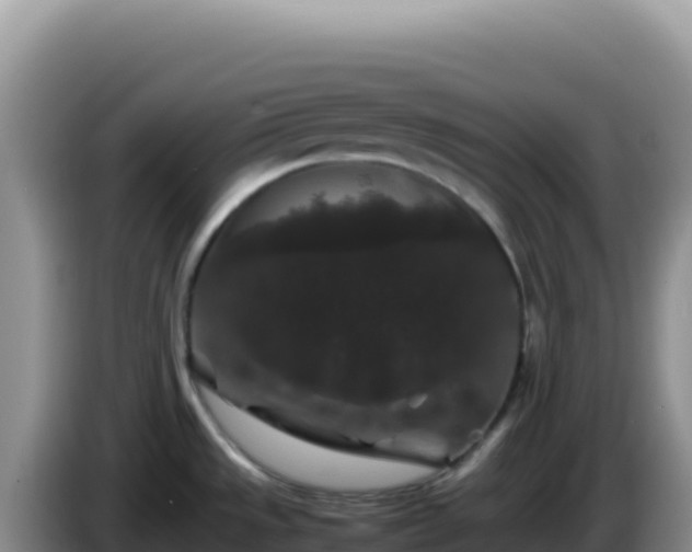 X0000086261533200704051251
