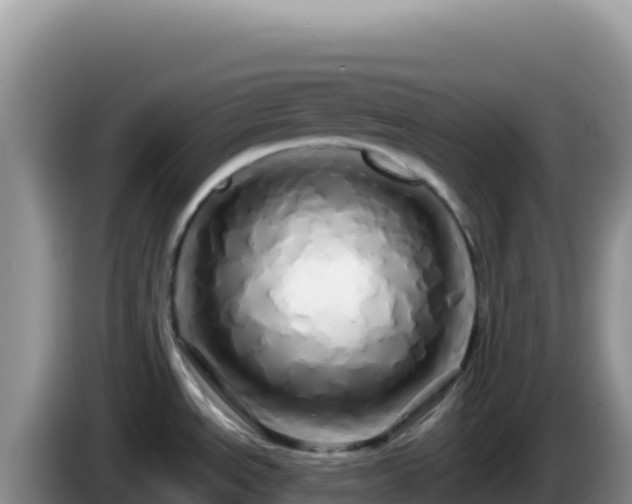 X0000086261534200704051251