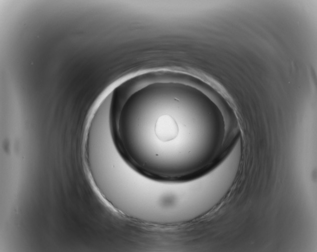 X0000086261536200704051251