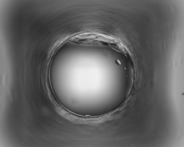 X0000086260001200704122018