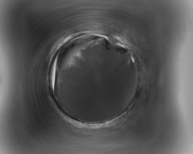 X0000086260002200704122018
