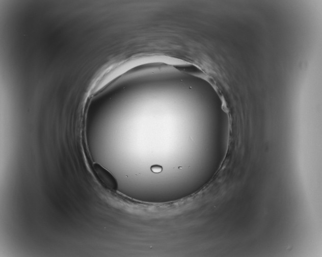 X0000086260003200704122018