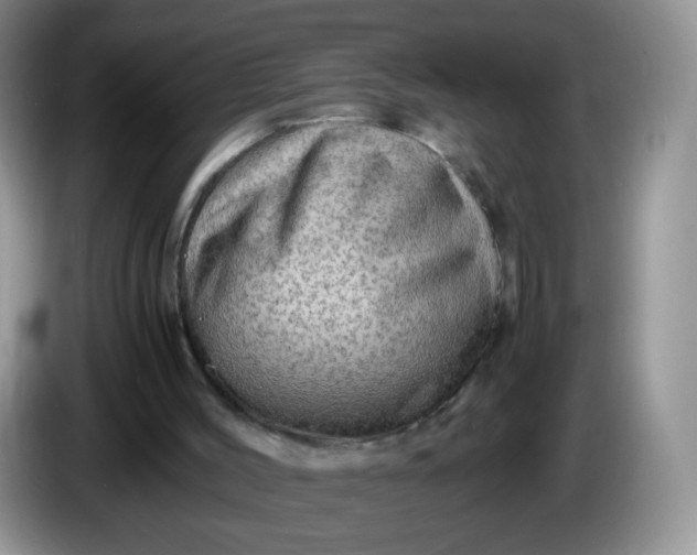 X0000086260004200704122018