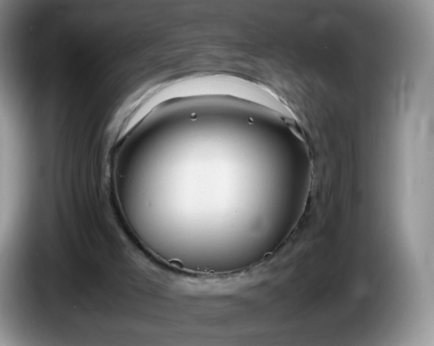 X0000086260005200704122018