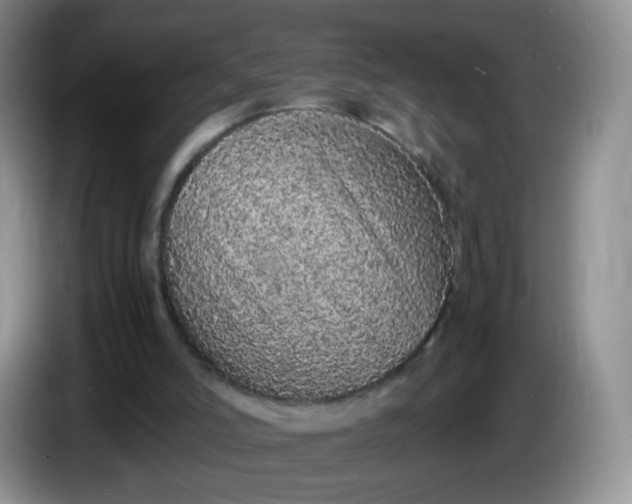 X0000086260006200704122018