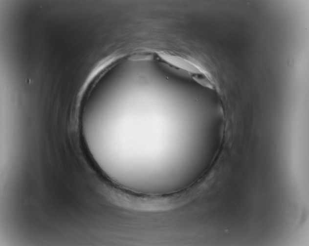 X0000086260008200704122018
