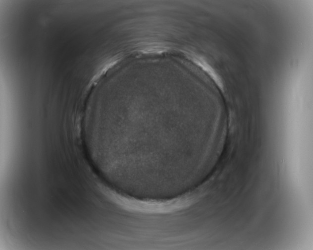 X0000086260010200704122018