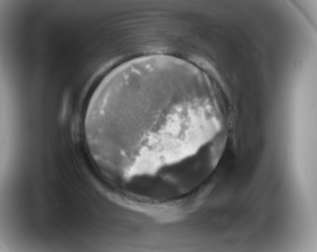 X0000086260012200704122018