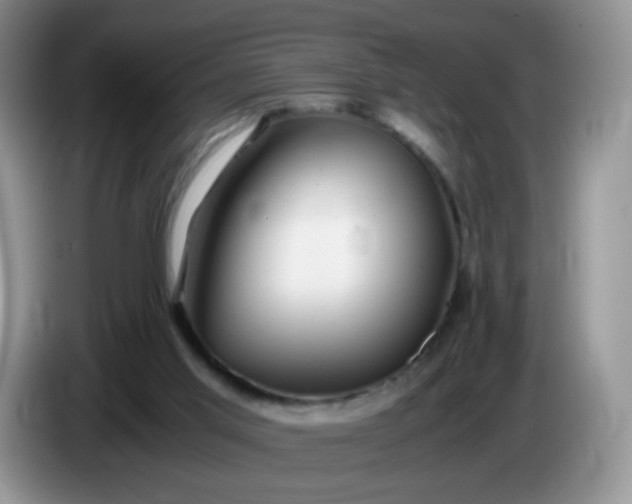X0000086260013200704122018