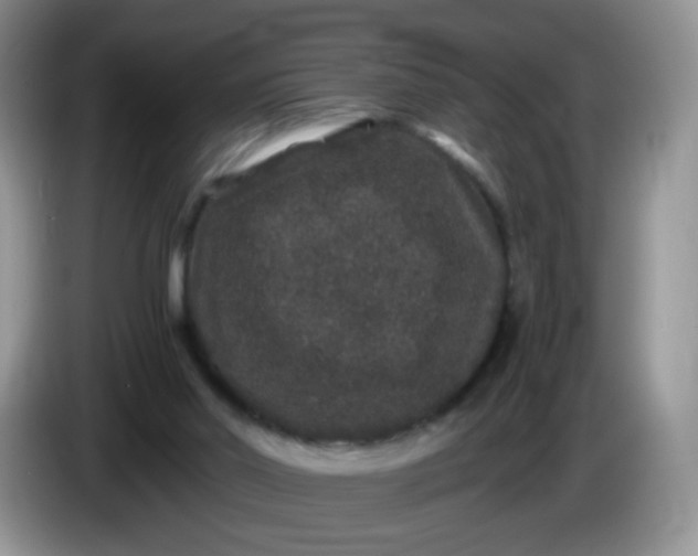 X0000086260014200704122018