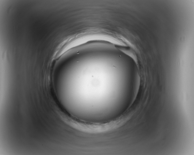 X0000086260015200704122018